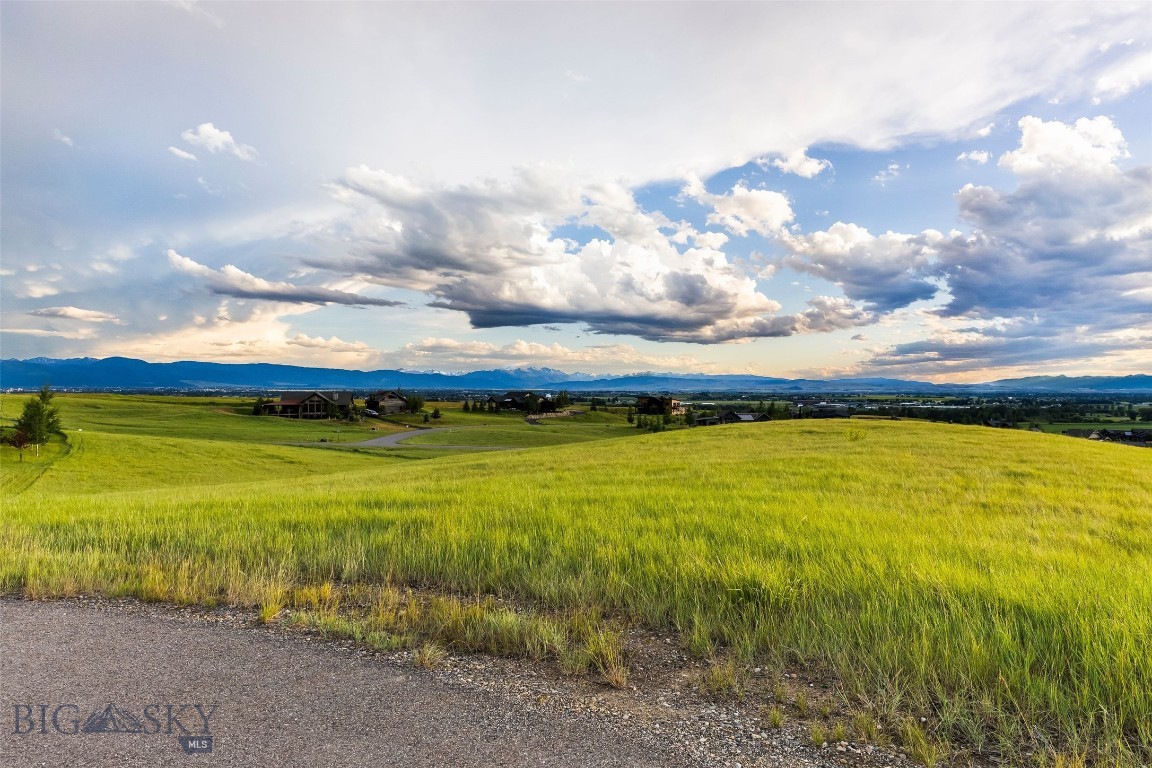 Springhill Reserve - Land