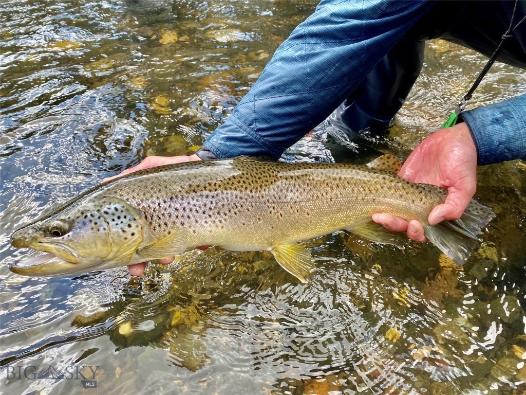 Gallatin River Farm North - Land