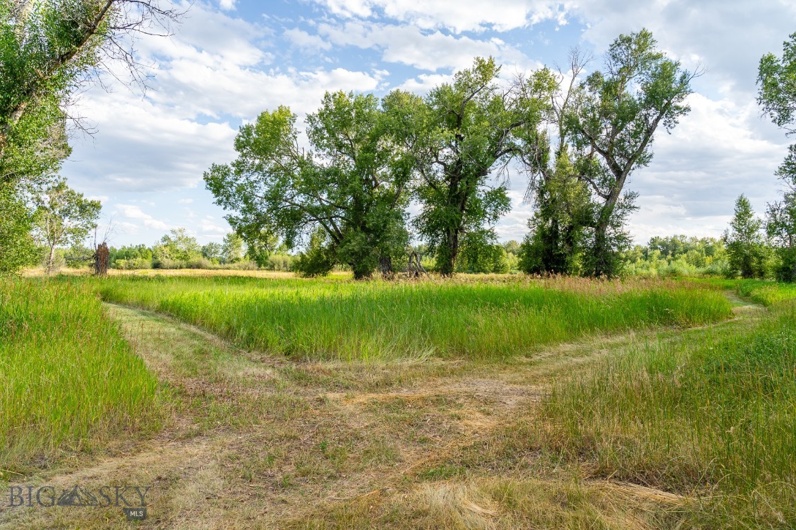 Gallatin River Farm North - Land
