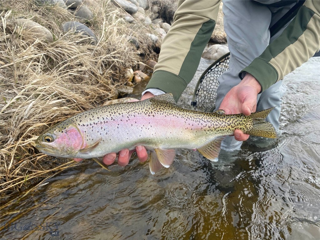 Gallatin River Farm North - Land