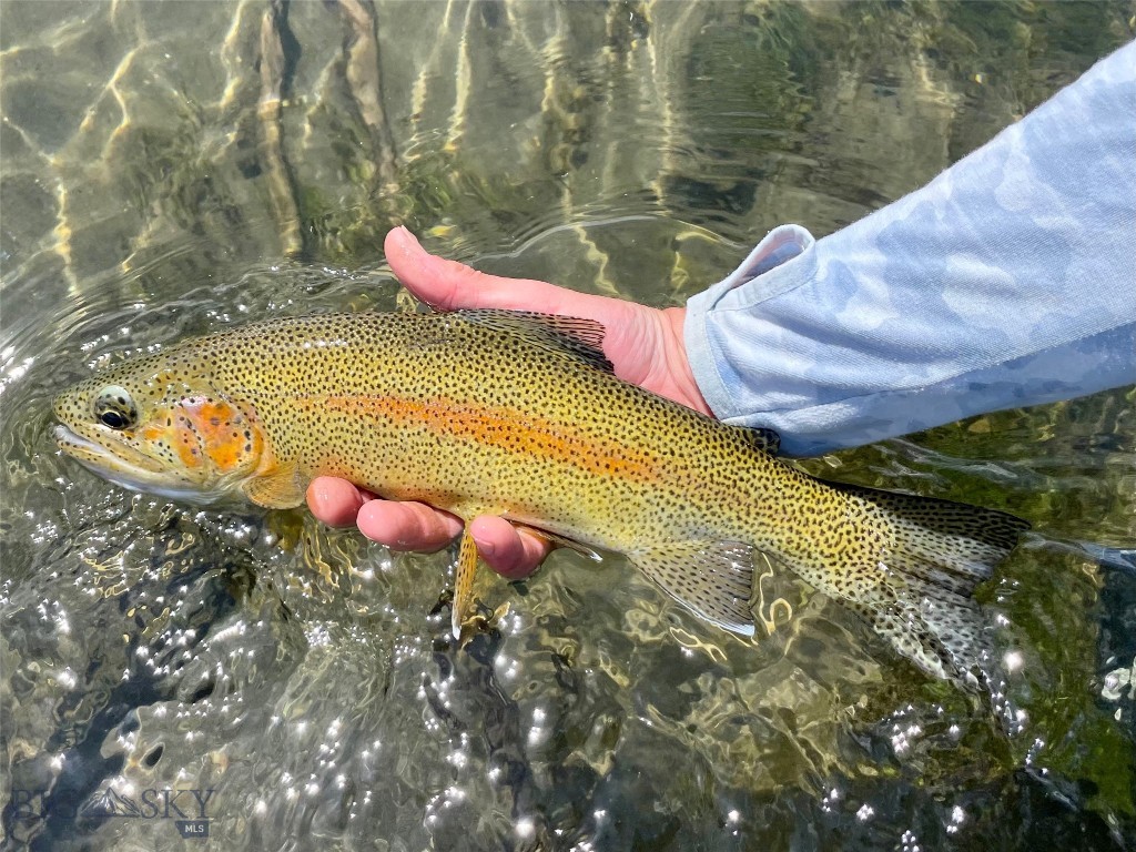 Gallatin River Farm North - Land