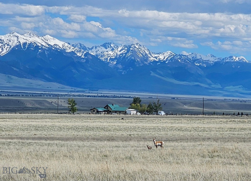 Build Your Montana Dream Home with Spectacular Madison Range Views!
Enjoy sweeping views of the Madison Mountain Range from this beautiful 5.5± acre parcel located in the desirable Pronghorn Meadows Subdivision. With a well already in place and power to the lot, this property is ready for your Montana dream home.
Pronghorn Meadows offers a thoughtfully designed community with open spaces, wildlife corridors, a community center, an equestrian facility, and well-maintained gravel roads. Watch antelope and other wildlife pass through the nearby corridors while enjoying the peaceful rural setting.
The Madison River and its world-class recreation opportunities are just minutes away, and the charming town of Ennis is conveniently close for shopping, dining, and services. Horses are accommodated through the subdivision's equestrian facilities, making this an excellent opportunity for those seeking both space and lifestyle.
Come experience the views, wildlife, and Montana living that make Pronghorn Meadows such a sought-after community.