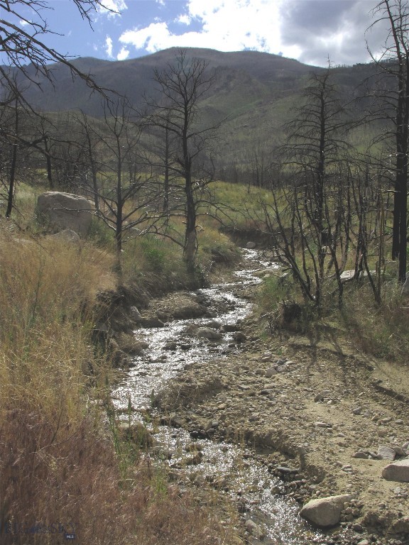 Great Recreational property at the foot of the Beartooth Mountains with seasonal Gold creek cutting through it. 20 acres offering huge views of Beartooth mountains and the valley. Are you looking for a site for your Montana cabin or even a year-round home with some snow plowing and a 4x4?  Miles from power, but some folks do live in the area year-round. 9 miles to HWY 72; the last 3 or 4 miles is not maintained. 13 miles to Belfry, 11 miles to Red Lodge via seasonal Meeteetse Trail road with 4x4. Mild Covenants, but no HOA for enforcement. Property was burned in 2021 wildfire so it lost its trees, but Cottonwoods are coming back along creek. Wildlife includes elk, deer, antelope, moose, sage grouse, grizzlies, wolves, coyotes & bears.  Creek has been flowing year-round that last few years, but historically is seasonal. Guaranteed access via easement on BLM road. Owner will finance with 15 to 20% down.