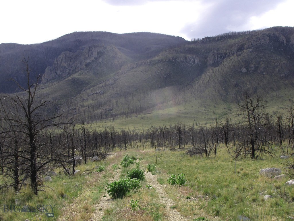 Other - Land