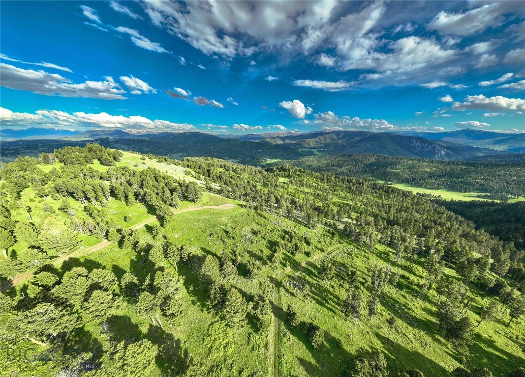 North Pass Ranches - Farm