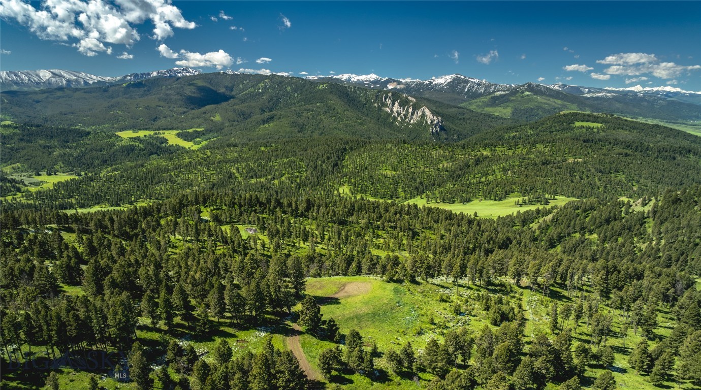 North Pass Ranches - Farm