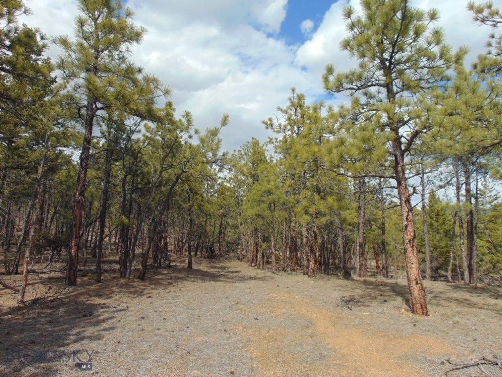 If you like fishing, you’ll love this 7.6 + acre property, which has year-round access with fantastic views and great building sites, and the septic location is already approved! Build your dream home or cabin. Located in the Big Belt Mountains, this property sits near National Forest and 4 lakes formed by dams on the famous Missouri River. Hauser Lake, Holter Lake, Canyon Ferry Lake, and Lake Helena offer some of Montana’s best Walleye fishing as well as Perch, Rainbow, and Brown trout fishing. Black Sandy State Park and Hauser Lake are only 2 miles away, offering a boat ramp, beaches, and camping. Watch the bald eagles feast on Kokanee as they rest in the trees along the shoreline at Hauser Lake. The Missouri River and its tributaries have some of the best Fly Fishing opportunities in the west. Head to nearby Helena after enjoying the great outdoors for some modern-day western ambiance. An early-day gold mining town and now the state capital, Helena has friendly western art galleries, top dining spots, spectacular historical mansions, and lots of attractions, such as Last Chance Stampede, Fair, and Rodeo. If you want year-round fun for the entire family, you won’t find a better, more affordable place to call home. Don’t let someone else live your dream.