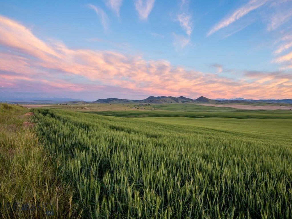 Build your dream farmstead, ranch, or cabin on this stunning 1,202± deeded acres of scenic, covenant-free land, offered in three parcels. Surrounded by sweeping mountain views, this productive mix of rolling crop and pasture ground has been well cared for through generations of responsible land stewardship. Currently managed in a dryland wheat/fallow rotation, the ground is also well-suited for pulse crops like chickpeas and lentils to increase profitability, or it can be seeded to pasture for horses, cattle, or other livestock. An ideal property for horse enthusiasts, wildlife lovers, and those seeking a peaceful rural lifestyle. Upland birds, deer, antelope, and even the occasional elk frequent the land, and the wide-open skies offer breathtaking views. Located just 30 minutes from Bozeman, this quiet Three Forks area property feels a world away while still offering convenient access to town. Power is available on three sides of the property. Fully fenced with a private access road and a road maintenance agreement shared with neighboring parcels in place. A rare opportunity to own a large, beautiful, and versatile piece of Montana.