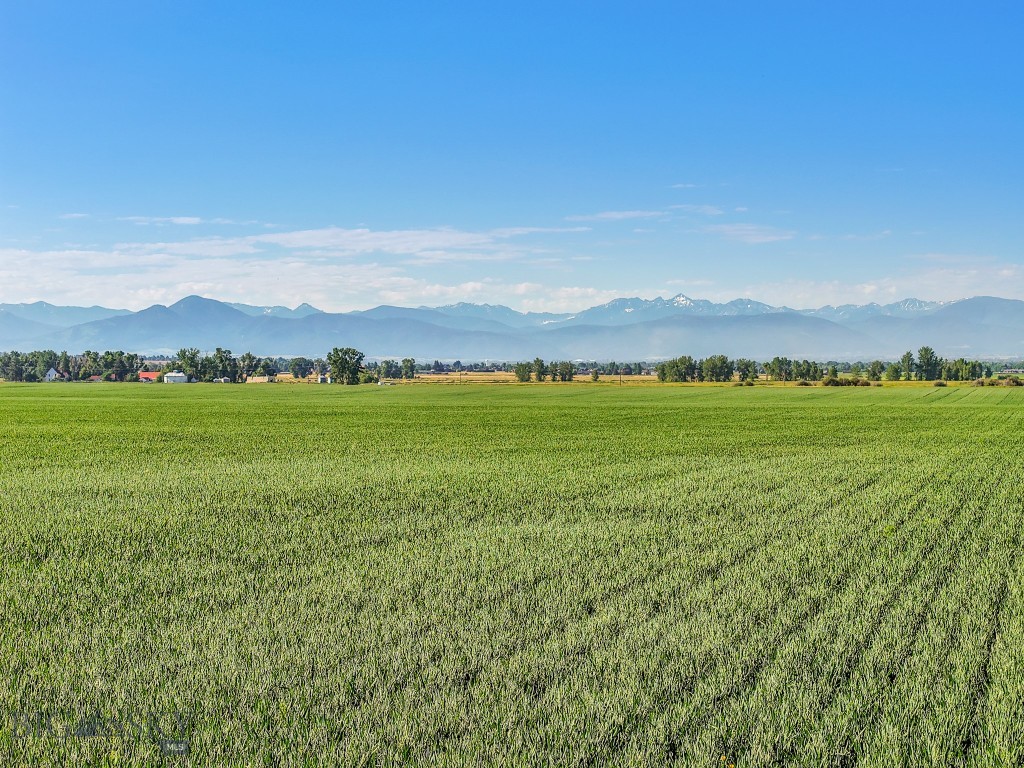 Other - Land