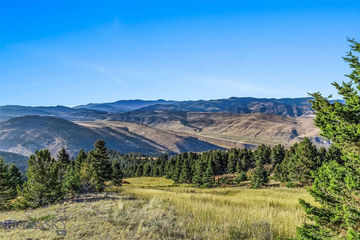 Yellowstone Basin Properties - Land