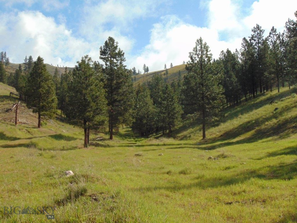 477 Acres of Montana property for sale, freshly surveyed with private access to thousands of acres of public land. And, you’re only approximately 25 miles from Missoula; this is a fabulous location. That’s right, this property gives you private access to thousands of acres of public property; it’s the property you’ve been dreaming of! The property also has a large shop on it that has space for you to stay during hunting season or while you’re building your dream home. If it’s a dream home you’re planning on building, there’s already a county-approved septic system installed, and the Well is drilled. The property comes with water rights to developed springs that have stock tanks in place, which attract and hold wildlife on the property. There’s even a beautiful Apple orchard that the Deer, Elk, and Black bears like to visit regularly! You're only approximately 6 miles from the small community of Clinton, Montana, which has a great grocery store and fuel station. If you’re a fisherman, the property is just a mile from the Clark Fork River, offering views of it directly from the property, and Rock Creek, which is renowned worldwide as one of the top Blue-Ribbon fisheries in the West, is only a couple of miles away. If you enjoy hiking, you can spend days walking around this property and the adjacent public lands. However, keep in mind that the Welcome Creek Wilderness is just to the south, a few short miles away, offering some real wild Montana backcountry adventures. This property is the unicorn that does exist. Every time I have been here, I have seen elk on the property. I don’t mean that you might see a deer once in a while; I mean every time I see elk and deer on this property, no joke - I am not exaggerating! In all my years of brokering properties in Montana, I have never seen a property that holds Big Game like this one does. I'm happy to take you and show you for yourself! Oh, did I mention there's a locked gate, so it’s very private. Hunt, hike, or horseback ride to your heart's content.  Seriously, where are you ever going to find a property like that? This is a one-of-a-kind. It’s a dream property that is a once-in-a-lifetime opportunity to purchase. This property was just surveyed, with all corners clearly marked to make it easy for you to find your way around this large property!