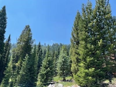Cascade Sub. - Big Sky - Land