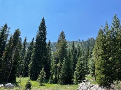 Cascade Sub. - Big Sky - Land
