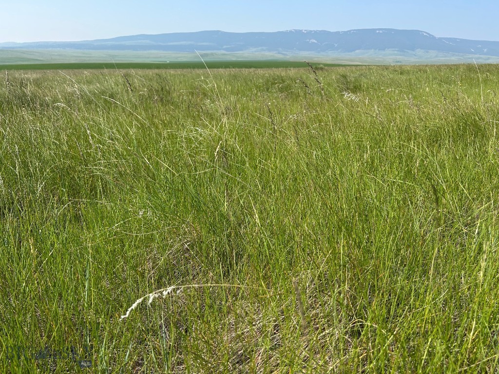 Other - Land
