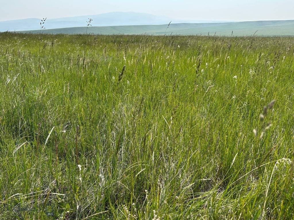 Other - Land
