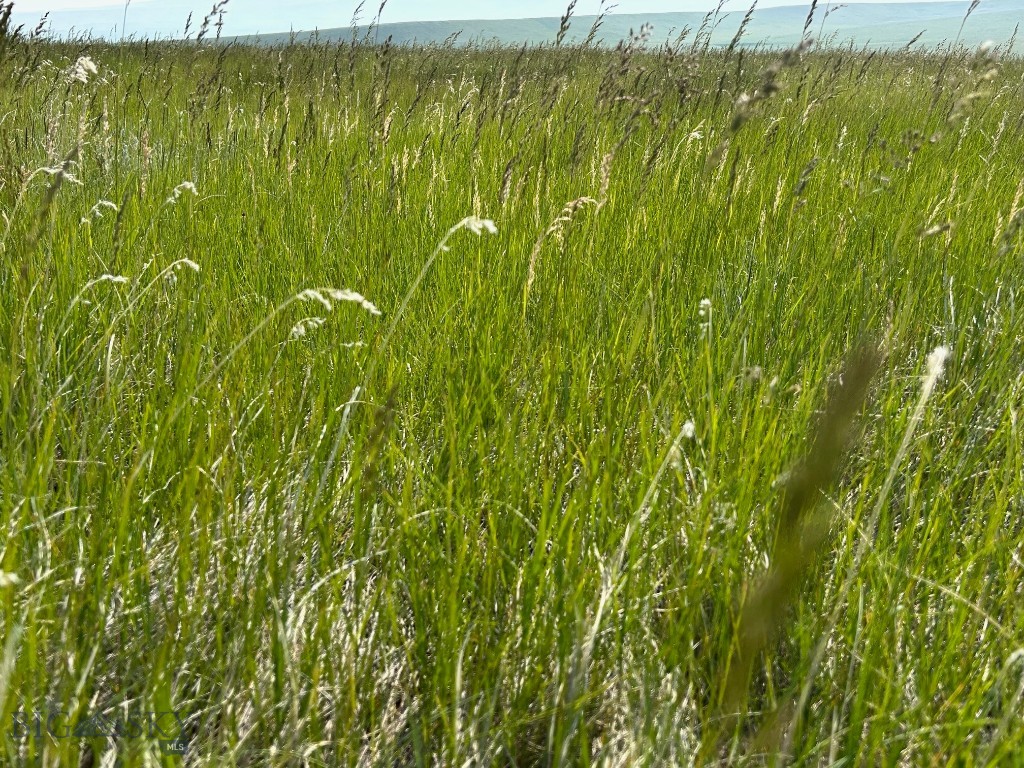 Other - Land