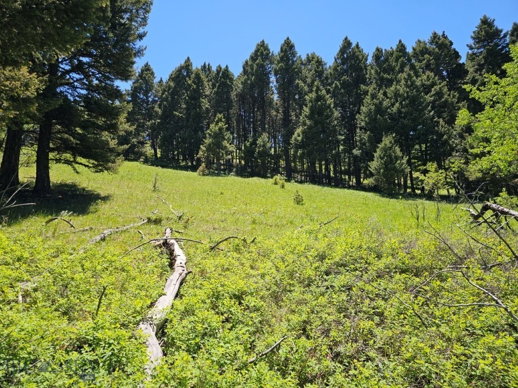 4.8 Acre Montana property bordering public land with a beautiful, leveled cabin or home site tucked away in the trees. Being that this property borders BLM land, you have more land to hunt, hike, and enjoy right out your back door. It’s like you’re buying way more land you can take advantage of that’s right there next to your own property. Talk about stretching your dollar and making it work more for you. There are elk and deer on the property at times, and a good herd of both in the area, so owning this property and bordering the additional BLM land gives you all the more opportunity to see them and hunt them if you’d like. And there’s National Forest too, within 1 ½ miles of the property. It’s a short drive or ATV ride, and you’ve got tens of thousands of acres of both the Helena and Beaverhead Deerlodge National Forests you can hunt, hike, and explore. This property puts you right out there in the mountains on the edge of all these vast amounts of public lands, and you can take advantage of them any time you take a notion. There’s a healthy herd of elk in the area, as you’ll see when you’re there, and there’s elk sign and trails to prove it. The property is in Hunting District 335, where there are general over-the-counter deer and elk tags and a second cow elk tag that can be drawn, since there are so many elk in the hunting district. So there’s lots of opportunity year after year. And you’re just across the highway from the fabled Hunting District 380 in the Elkhorn Mountains with its limited elk permits and huge bulls. These elk cross into Hunting District 335, too, which might put them right in your backyard, where you can be ready to hunt the big ones. A building site has already been leveled on the property, so it’s ready to build your dream home or cabin in the woods. The setting is fantastic. There’s mature timber all around the building site and quaking aspen trees just below it, too, for plenty of shade and screening. A county road comes through a corner of the property, providing great access to your private driveway with a private gate for privacy.