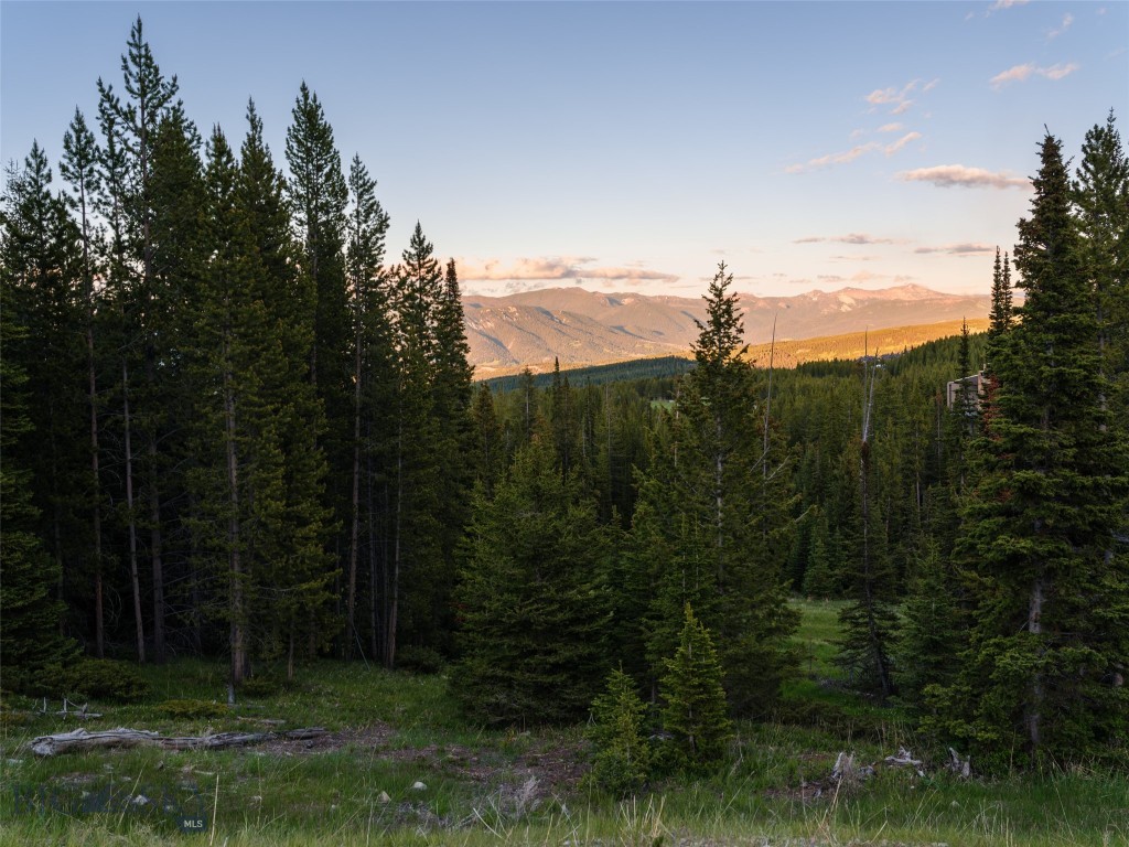 Ski Tip Glade Neighborhood - Land