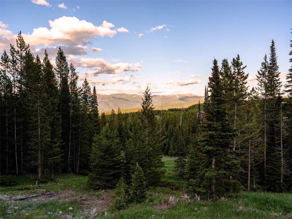 Ski Tip Glade Neighborhood - Land