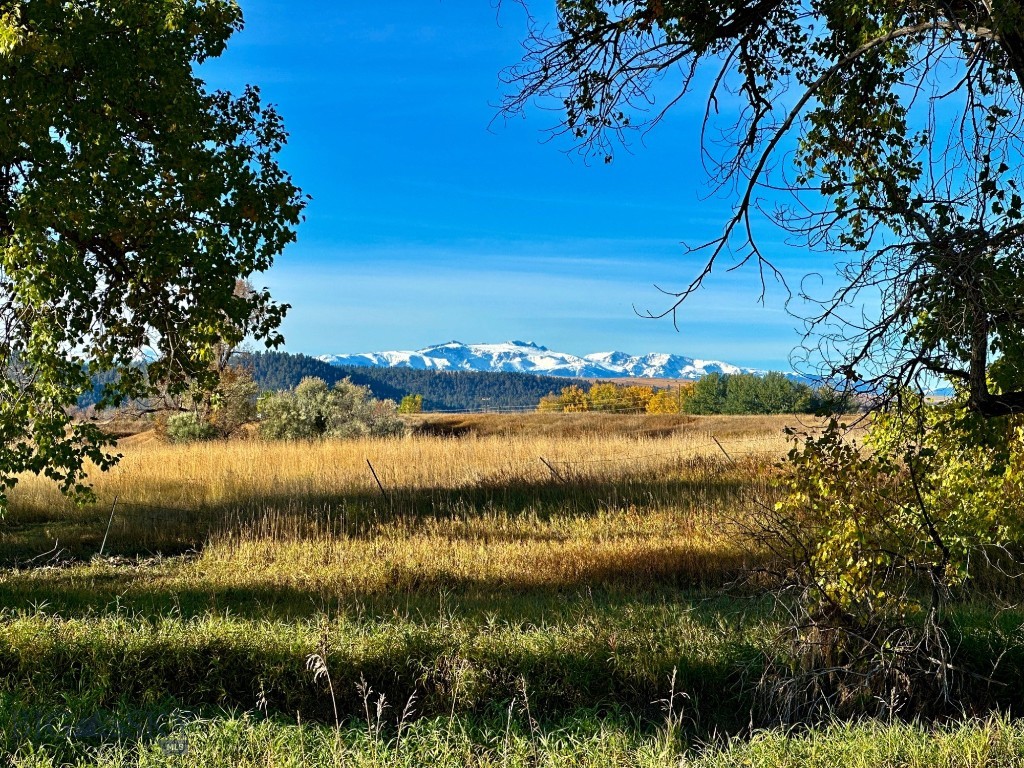 Other - Land