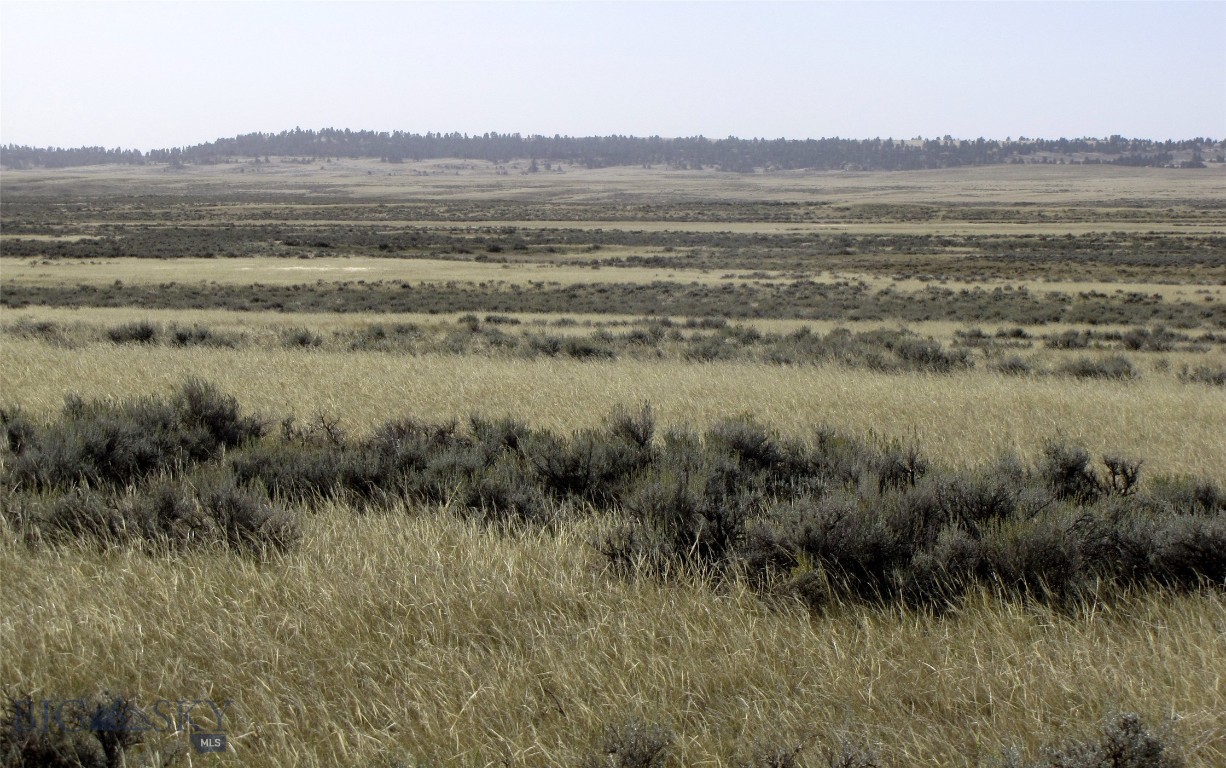 80 acres of Montana grassland and sagebrush just 20 miles north of Billings where the deer and the antelope play. The adjoining 80 acres to the north is also available for the same priced-- 160 acres for $179,800! Only 2.5 miles east of the state highway, then south a half mile on an easement (not built); lots of potential for a private get away. Was homesteaded in 1920. Access is via Lindstrom Road and then a private easement, but buyer will need to do their own investigation and due diligence regarding the easement and access to property. Transmission power lines cross the adjoining northern 80 acres, but not this parcel. The 80 acre parcel to the north (MLS#397946) is also available. An easement crosses the northern 80 acres to provide access to this property. No known covenants, no zoning. Come enjoy some great views of Big Sky country where the deer and the antelope roam.