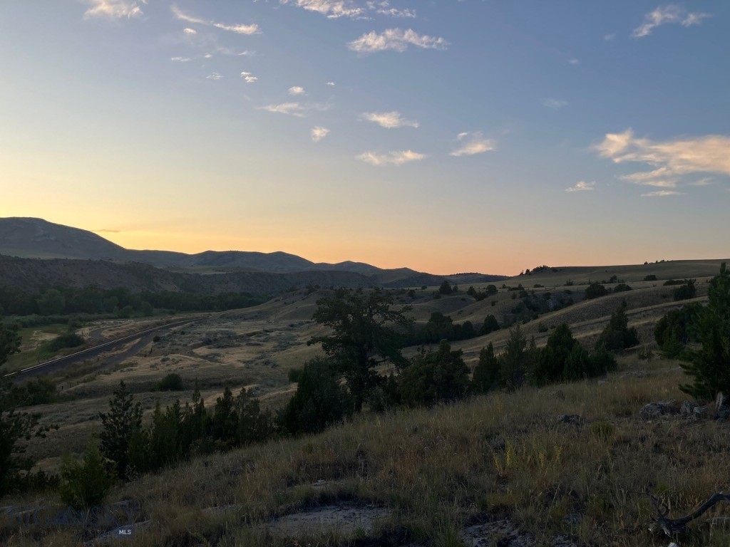 Ponderosa Pines - Land