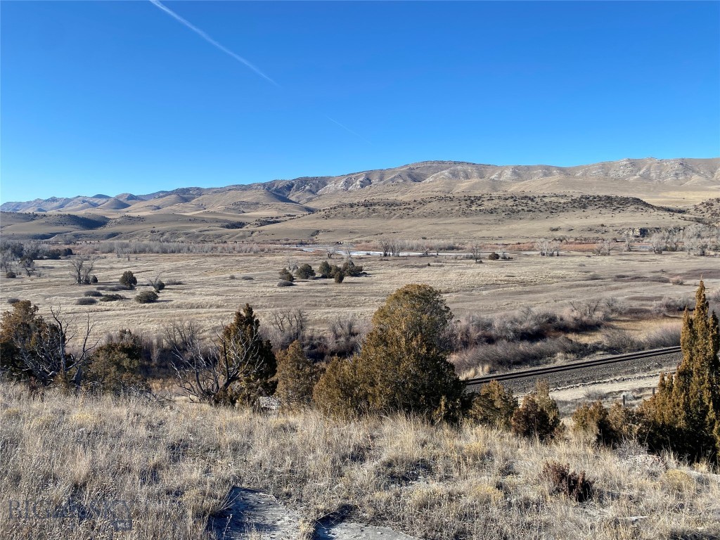 Ponderosa Pines - Land