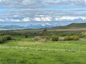 Great opportunity to own 590 acres outside of the Wilsall/Livingston area with gorgeous 360 degree views. This property is located in the heart of the Shields River Valley. It is nestled between the Bridger, Absaroka, and Crazy Mountains. This unique ranch offers exceptional access, with county roads bordering both sides and power readily available along 2 sides. Elk Creek runs the full length of the property, providing both scenic beauty and natural water resources. Additionally, a year-round spring feeds two stock water tanks.