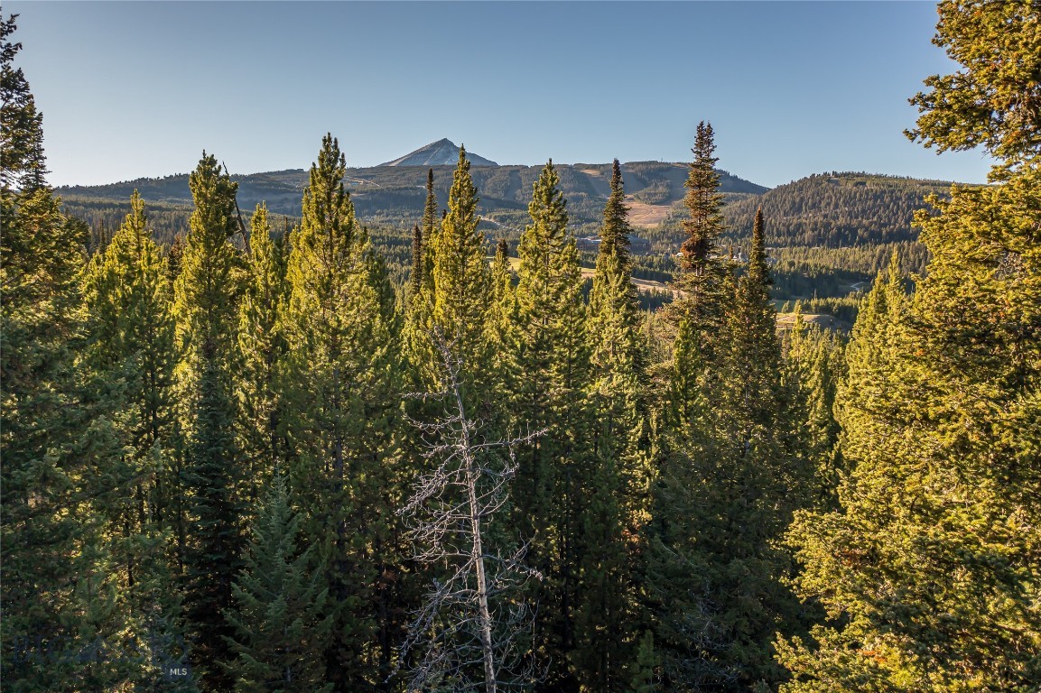 Wildridge Neighborhood - Land