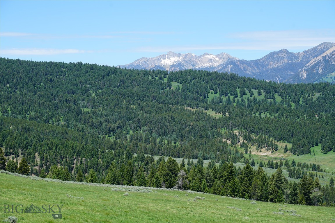 Other - Land