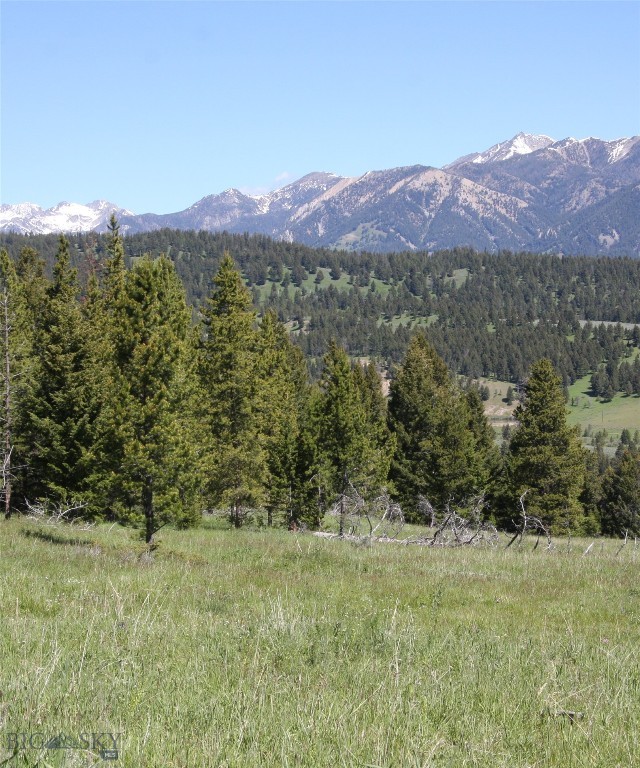Other - Land