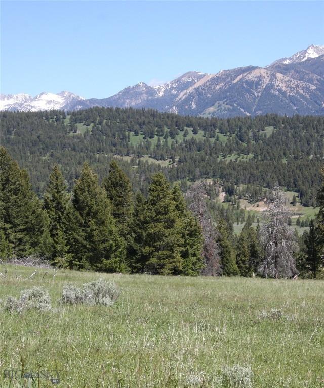 Other - Land