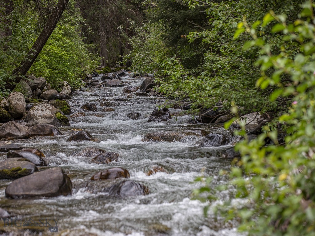 Gallatin Canyon - Residential