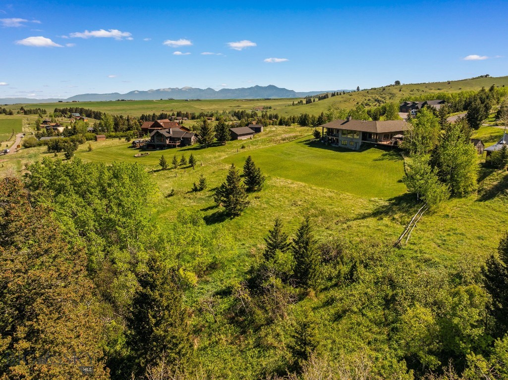 Little Bear - Residential