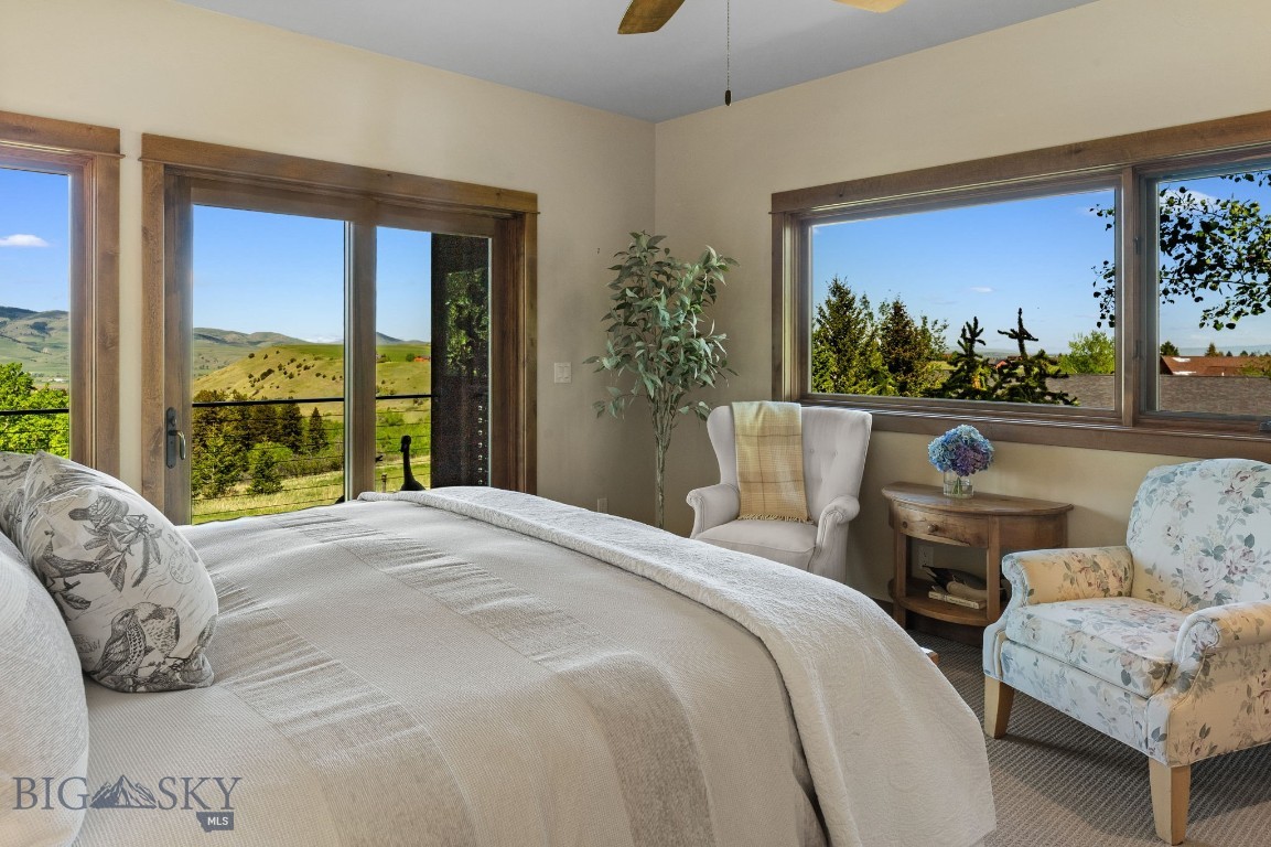 Little Bear - Residential