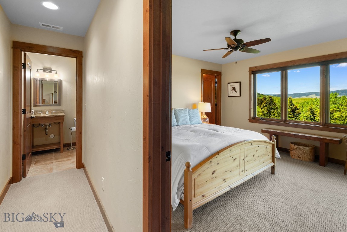 Little Bear - Residential