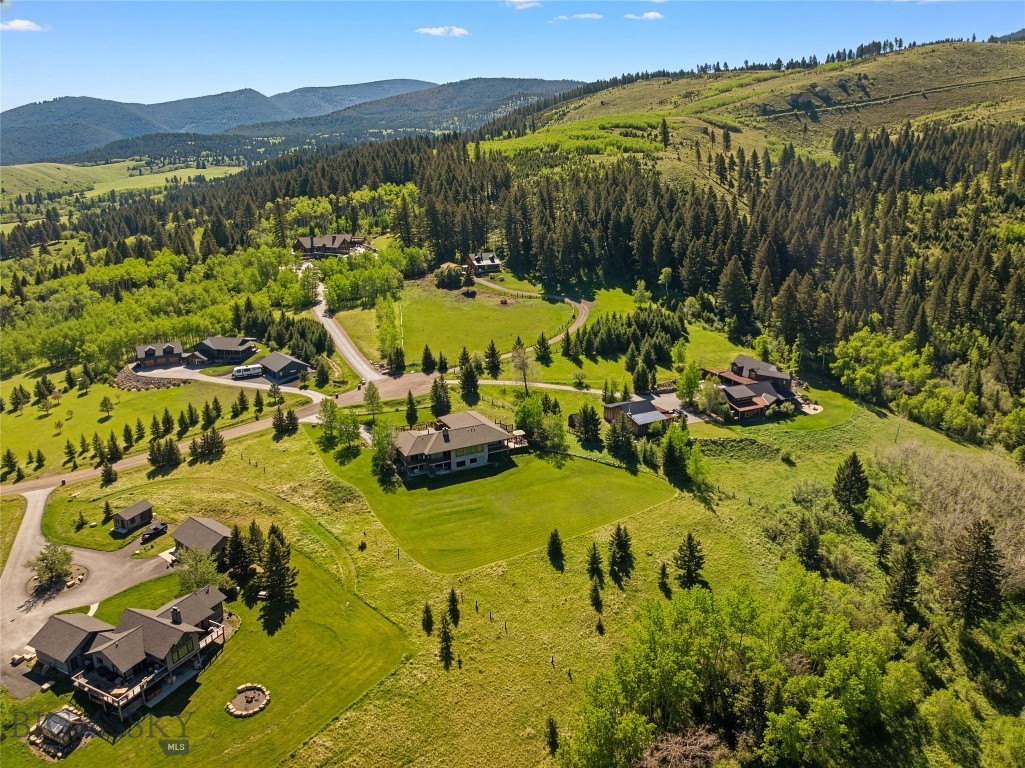 Little Bear - Residential