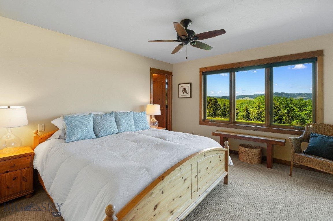 Little Bear - Residential