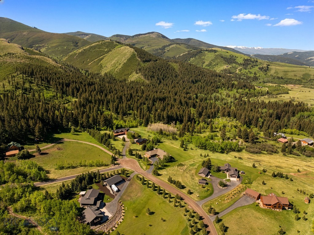 Little Bear - Residential