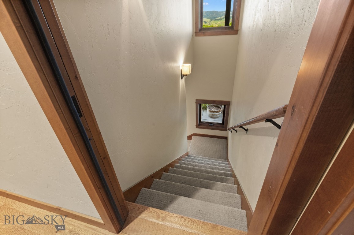 Little Bear - Residential