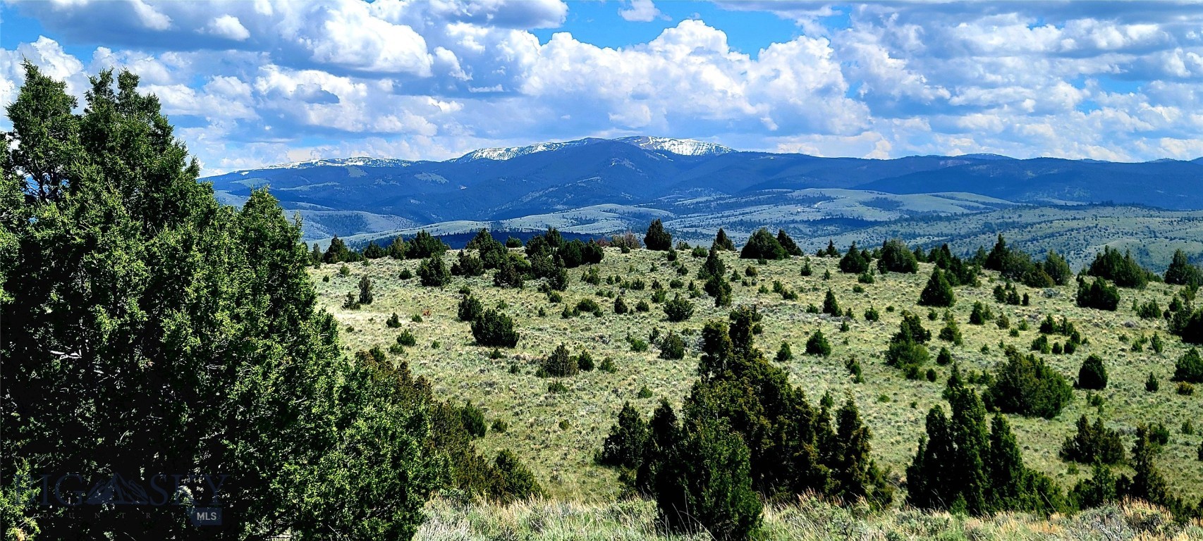 Need to get away from it all? With panoramic views of the Alder Creek valley and surrounding Mountain ranges, this 160.1 acres is surrounded by large parcels. Ideal for passive solar and off grind systems, build you cabin or home with plenty of space for your horses and cattle. Springs are located on the southern portion of the tract.  The west side is fenced. The SW corner is shared with BLM land.  The tract location is nearby Historic Virginia City and Alder Montana. The graded dirt access roadway is schedule for gravel improvement this summer/fall of 2026.
Call today for a showing.