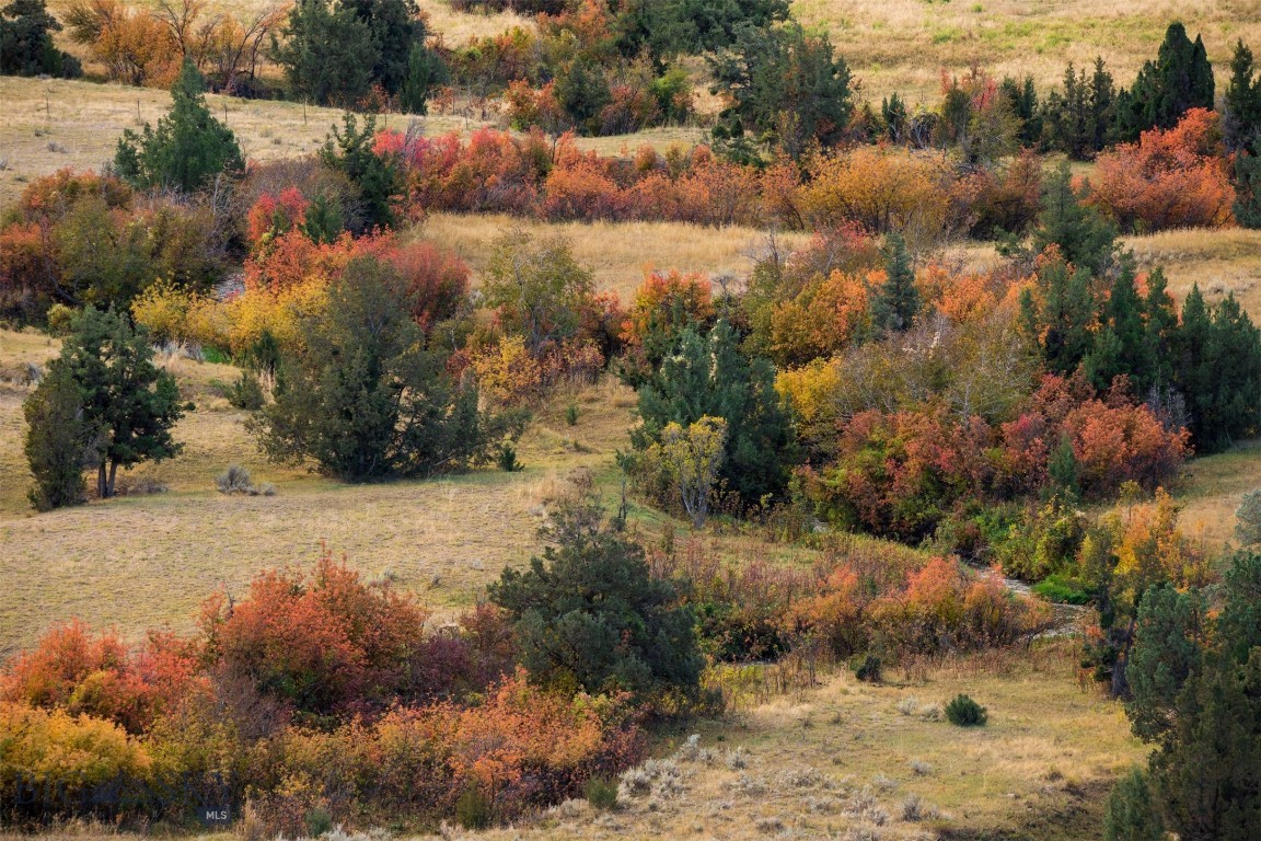 Other - Land