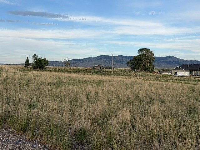 Other - Land