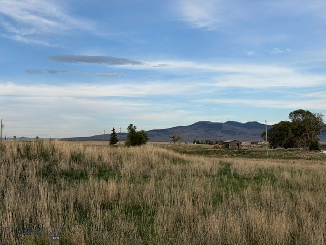 Other - Land