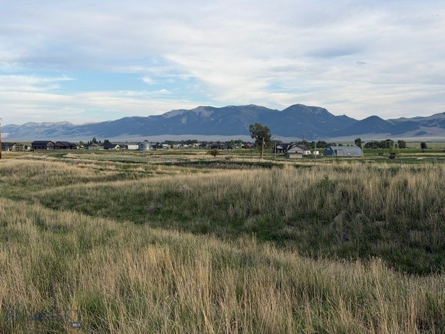 Other - Land