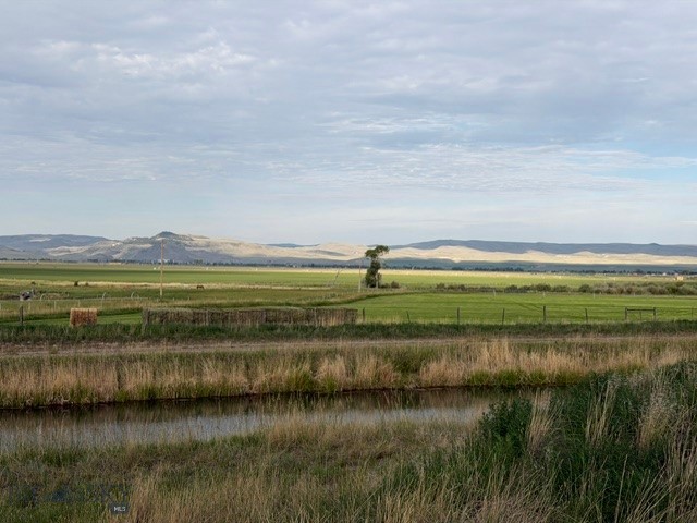 Other - Land