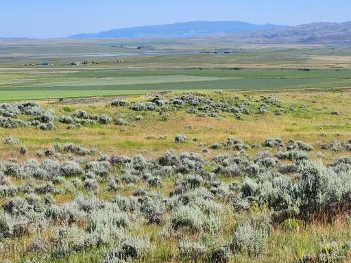 None - Land