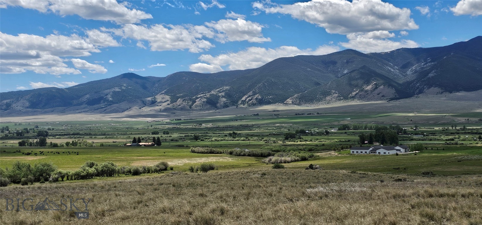 Upland Meadows - Land