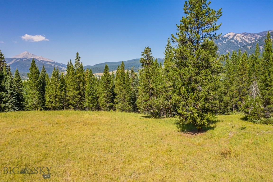 Skywood Preserve - Land