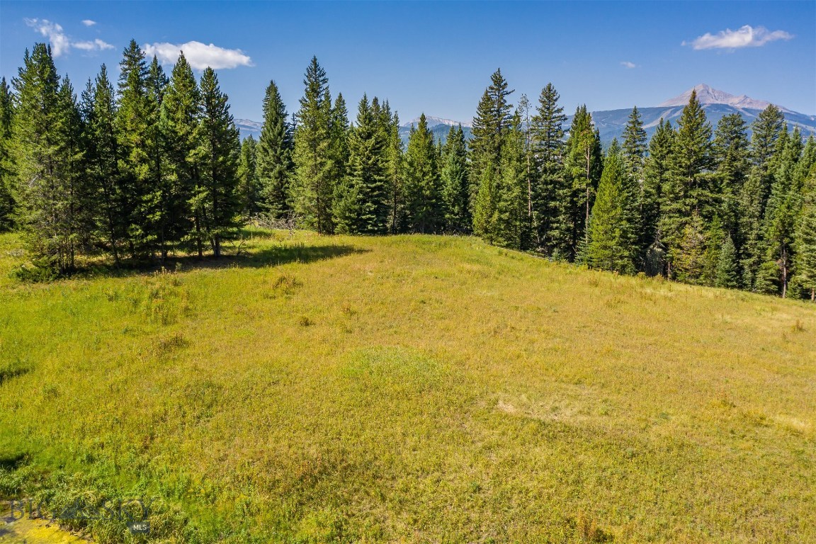 Skywood Preserve - Land